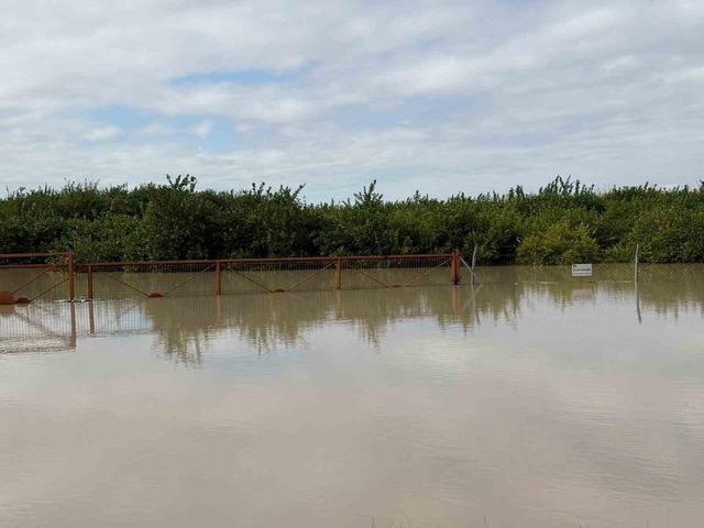 Tarsus’ta 8 bin dönüm tarım arazisi sular altında kaldı 4