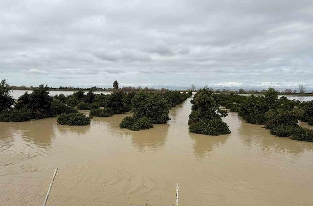 Tarsus’ta 8 bin dönüm tarım arazisi sular altında kaldı 3