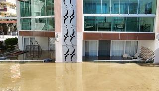 Taşan &ccedil;aydaki işletme yıkıldı, sulara kapılmak &uuml;zere olan bir k&ouml;pek son anda kurtarıldı