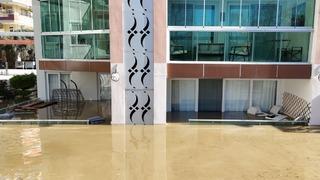 Taşan çaydaki işletme yıkıldı, sulara kapılmak üzere olan bir köpek son anda kurtarıldı