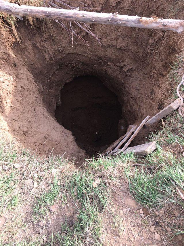 Tunceli'de kaçak kazı yapan 5 kişiye suçüstü