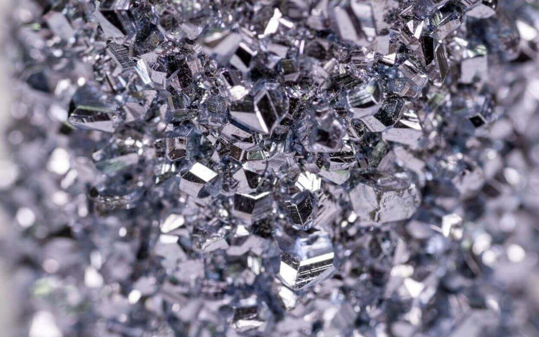 Altından 400 kat daha değerli! Elinde bulunan turnayı g&ouml;z&uuml;nden vurdu: Bir gramı daire aldırıyor 1