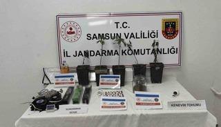 Jandarmadan uyuşturucu operasyonu