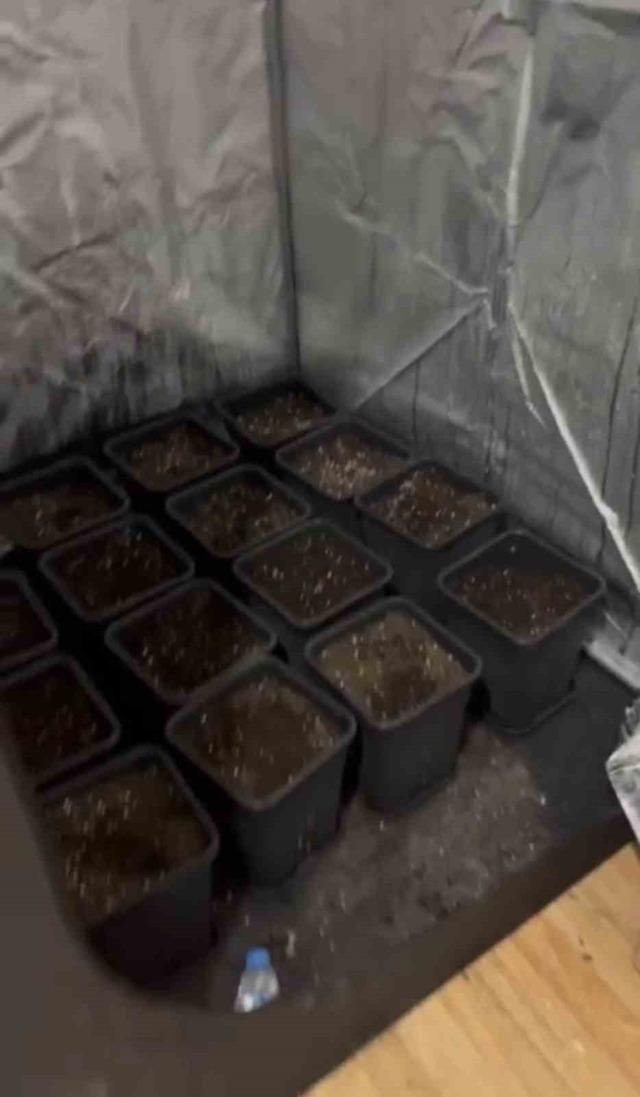 Çarşamba’da jandarmadan uyuşturucu operasyonu 1