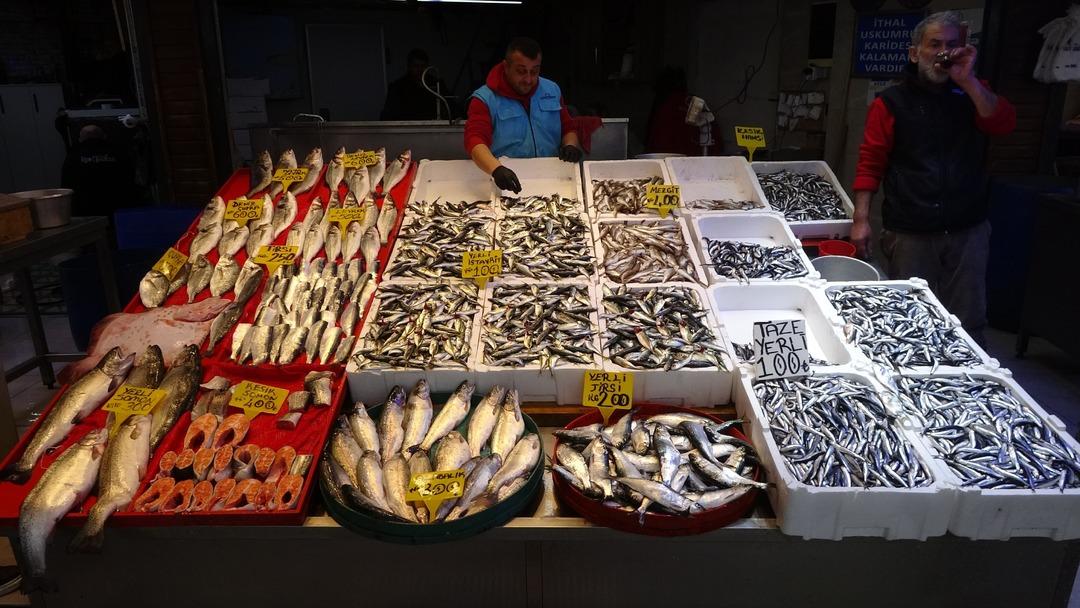 Karadeniz de sezon sonu bereketi 2