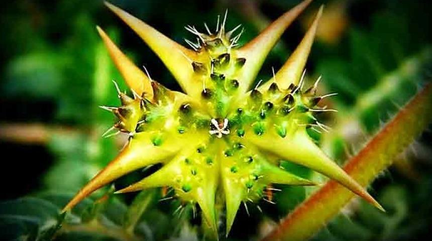 İktidarsızlığı bitirip düşük riskini azaltıyor