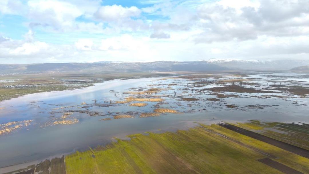 Muş’ta eriyen kar ve sağanak ovayı sular altında bıraktı 2