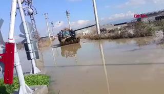 Manisa'da sel! Mahsur kalan hayvanlar kurtarıldı