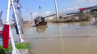 Manisa'da sel! Mahsur kalan hayvanlar kurtarıldı