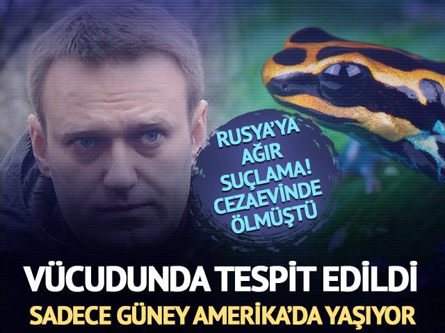 Navalny'nin v&uuml;cudunda epibatidin tespit edildi! Rusya'ya cinayet su&ccedil;laması: Sadece G&uuml;ney Amerika'da yaşıyor