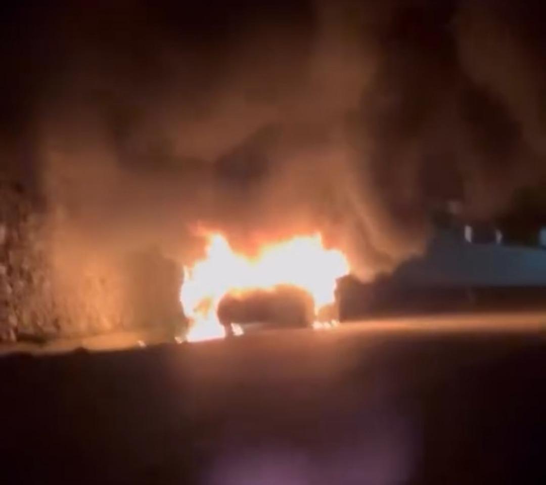 Mudanya yolunda korkutan ara&ccedil; yangını 1