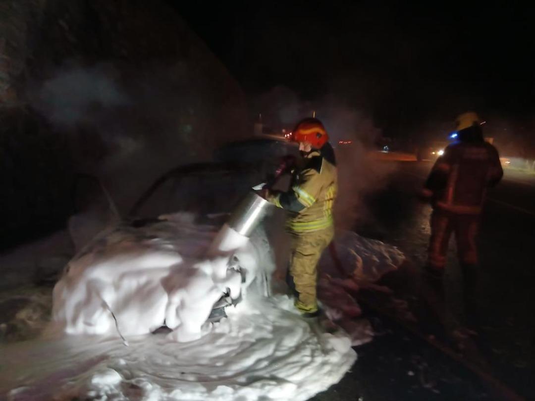 Mudanya yolunda korkutan ara&ccedil; yangını 2
