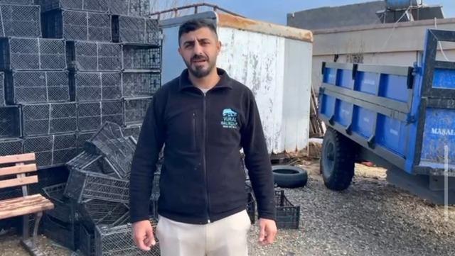 &Ouml;l&uuml; yunus sahile vurdu 1