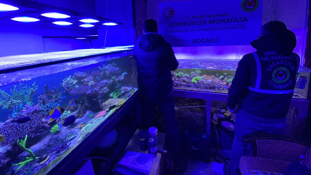 Sınırda dev operasyon: S&uuml;l&uuml;kten maymuna y&uuml;zlerce t&uuml;r, 85 bin canlı hayvan! 3