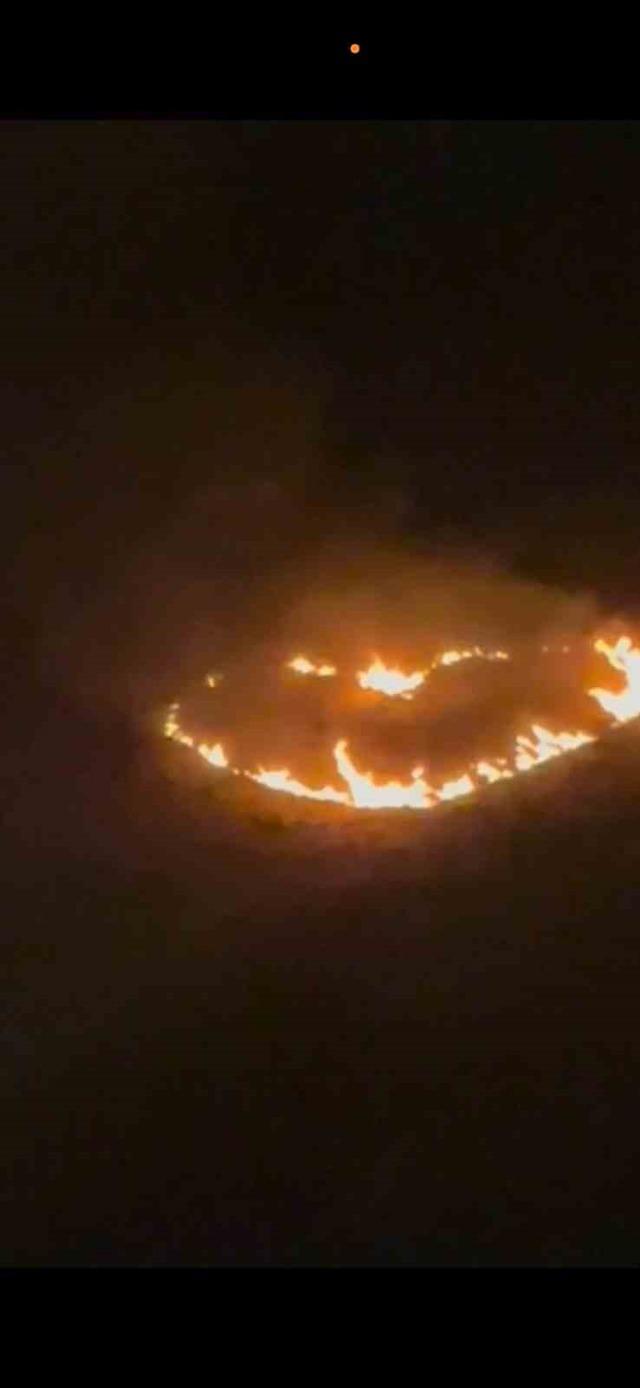 Mardin&rsquo;de ilanıaşk yangına neden oluyordu 1