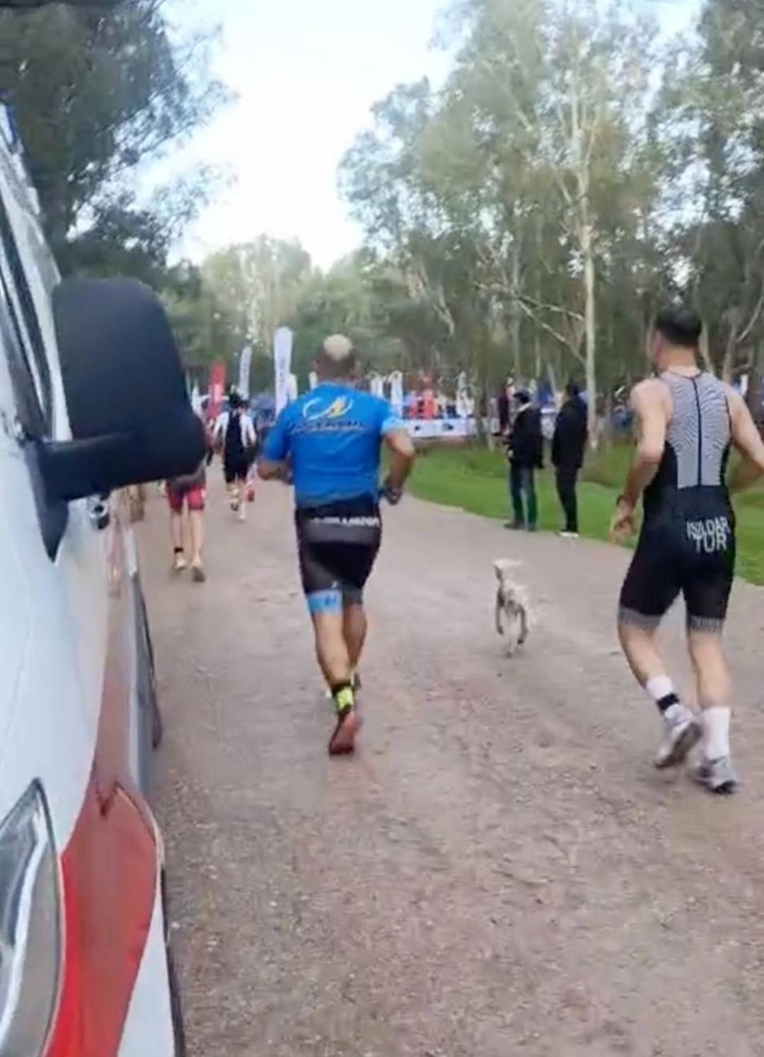 Triatlon yarışında parkura giren kuzu, renkli görüntülere nedenler oldu 2