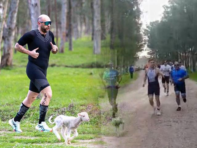 Triatlon yarışında parkura giren kuzu, renkli g&ouml;r&uuml;nt&uuml;lere neden oldu