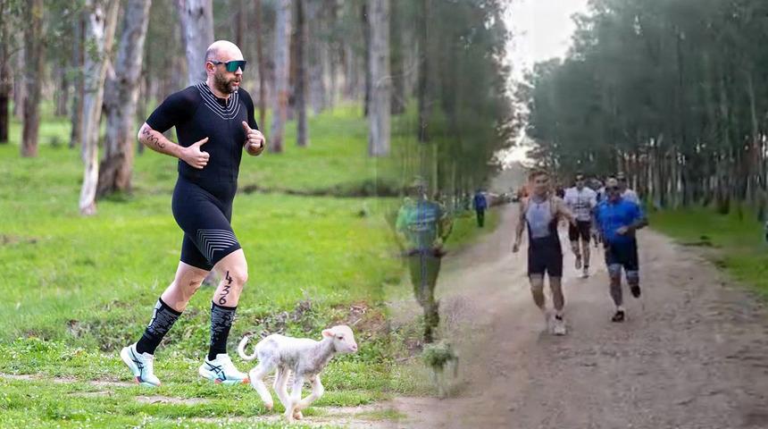 Triatlon yarışında parkura giren kuzu, renkli g&ouml;r&uuml;nt&uuml;lere neden oldu