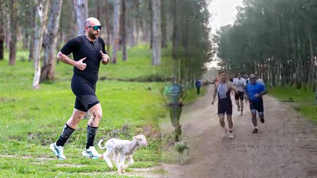 Triatlon yarışında parkura giren kuzu, renkli görüntülere neden oldu