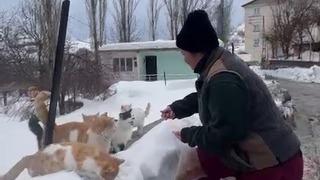 Sokak hayvanlarını beslemek için bin 400 kilometre yol geliyor