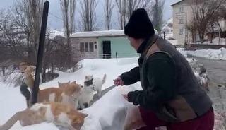 Sokak hayvanlarını beslemek i&ccedil;in bin 400 kilometre yol geliyor