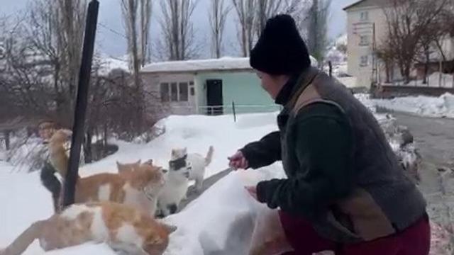 Sokak hayvanlarını beslemek için bin 400 kilometre yol geliyor