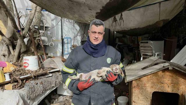 Su deposuna d&uuml;şen yavru k&ouml;pek 6 saat sonra kurtarıldı 2