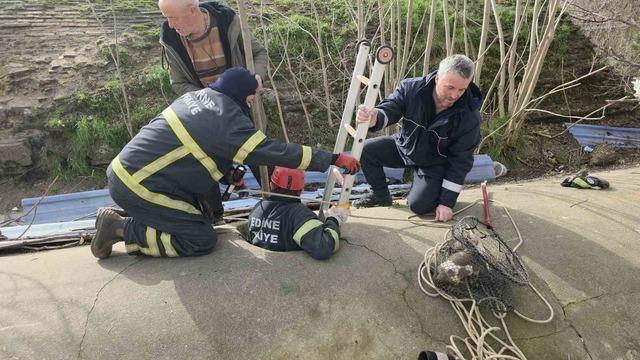 Su deposuna d&uuml;şen yavru k&ouml;pek 6 saat sonra kurtarıldı 1