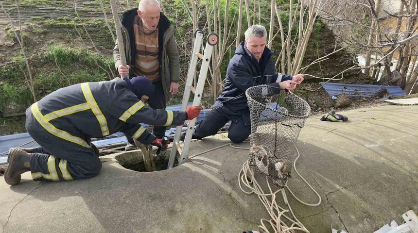 Su deposuna d&uuml;şen yavru k&ouml;pek 6 saat sonra kurtarıldı