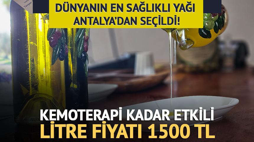 D&uuml;nyanın 'en sağlıklı zeytinyağı' se&ccedil;ildi: Kemoterapi kadar etkili! 