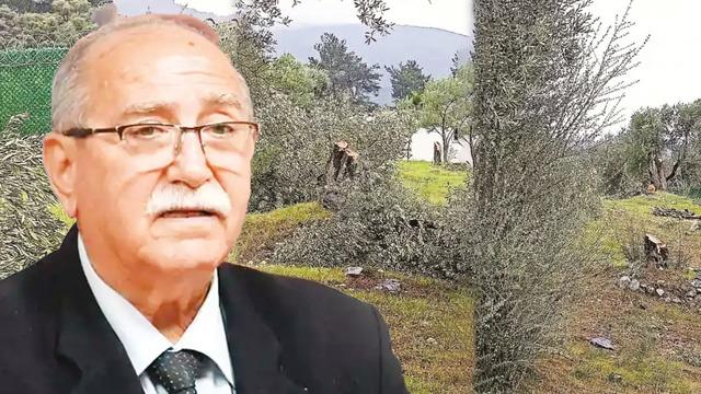 Zeytin ağaçlarıyla gündem olmuştu! CHP Milas İlçe Başkanı Ahmet Kılbey, partisinden istifa etti