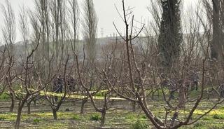 &Ccedil;anakkale'de kayıp olarak aranan 86 yaşındaki kişinin cesedi bulundu