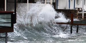 İzmir'de 50 yılda bir g&ouml;r&uuml;l&uuml;yor! "Bu tablo sıradan değil"