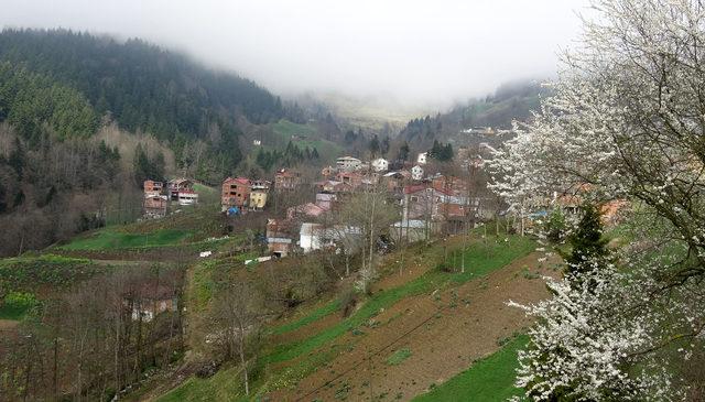 Kanserden ölenlerin fotoğrafları kahve duvarına sıralandı