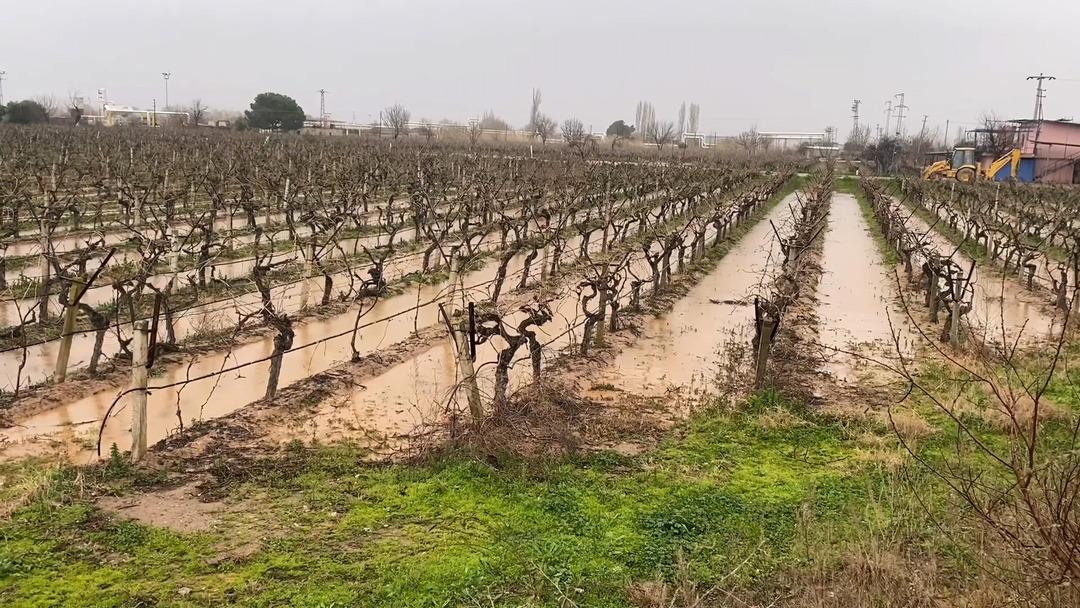 Hem sevindirdi hem tedirgin etti! Nisanı beklemedi, şaşırtan tablo 2