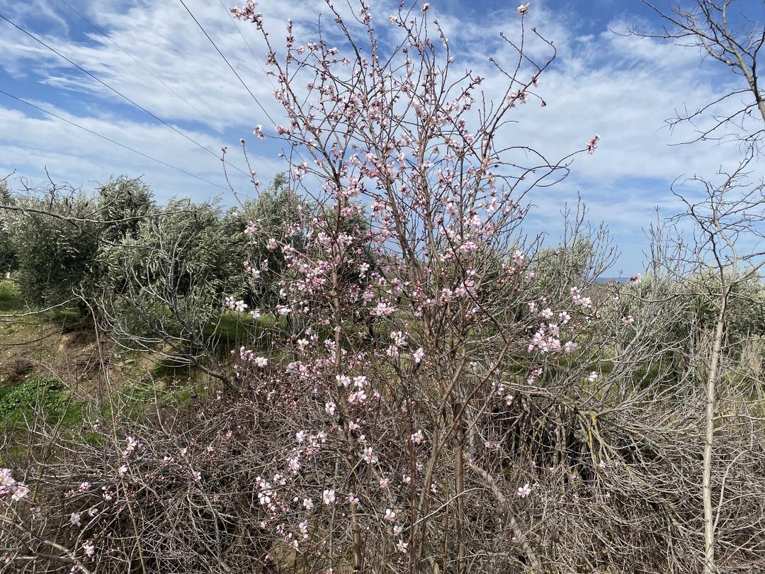 Hem sevindirdi hem tedirgin etti! Nisanı beklemedi, şaşırtan tablo 4