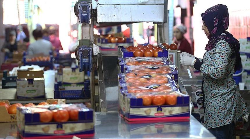 2 Türk şirkete daha domates ithalatı izni