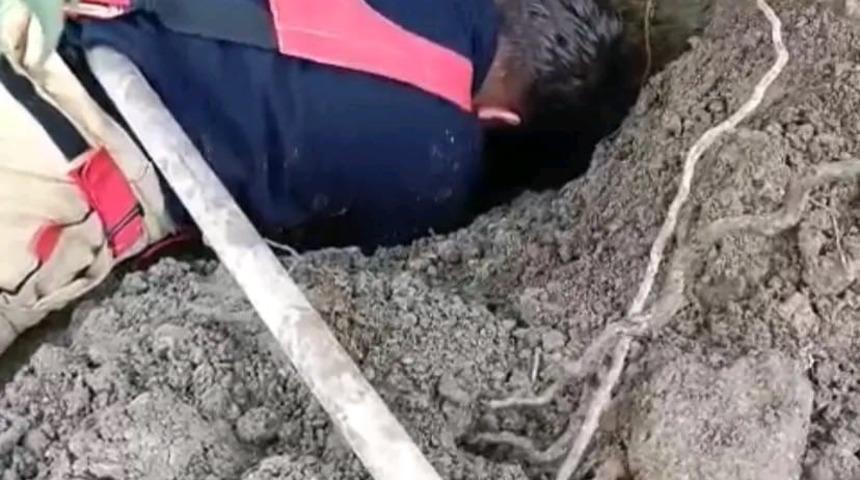 Hatay&rsquo;da toprağın kaymasıyla g&ouml;&ccedil;&uuml;k altında kalan yavru k&ouml;pekler kurtarıldı