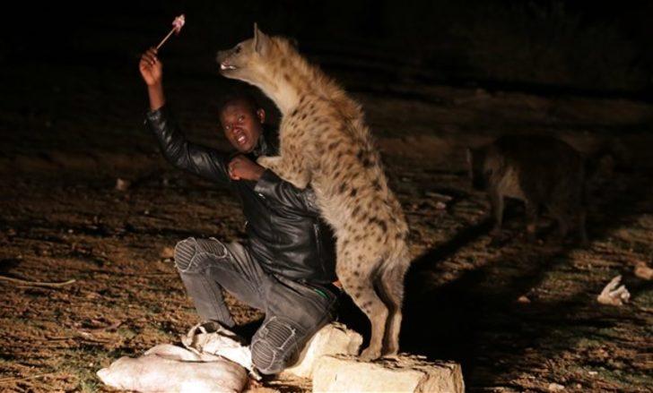 Sırtlanları elleriyle besliyor  G3