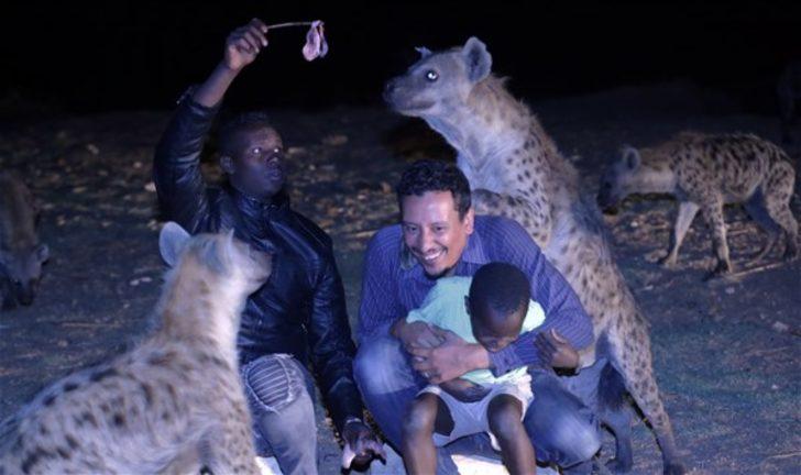 Sırtlanları elleriyle besliyor  G4