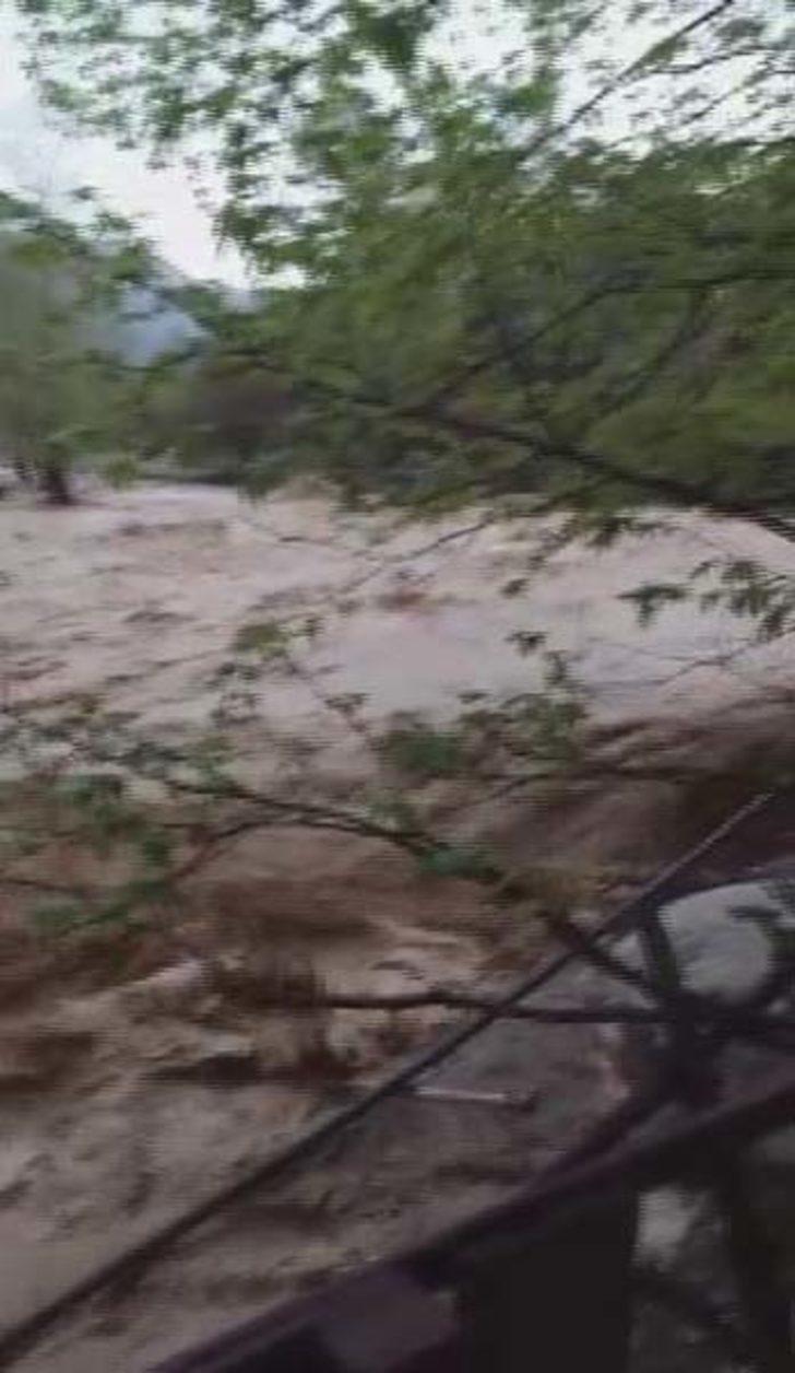 Dehşete düşüren görüntüler  G2