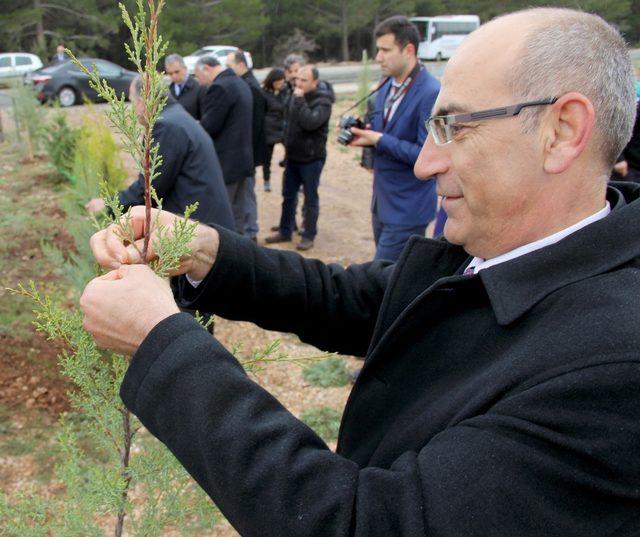 Şehit Savcı adına Muğla’da hatıra ormanı