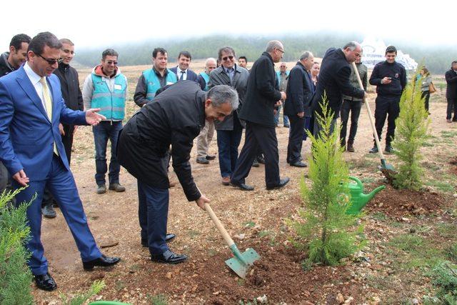 Şehit Savcı adına Muğla’da hatıra ormanı