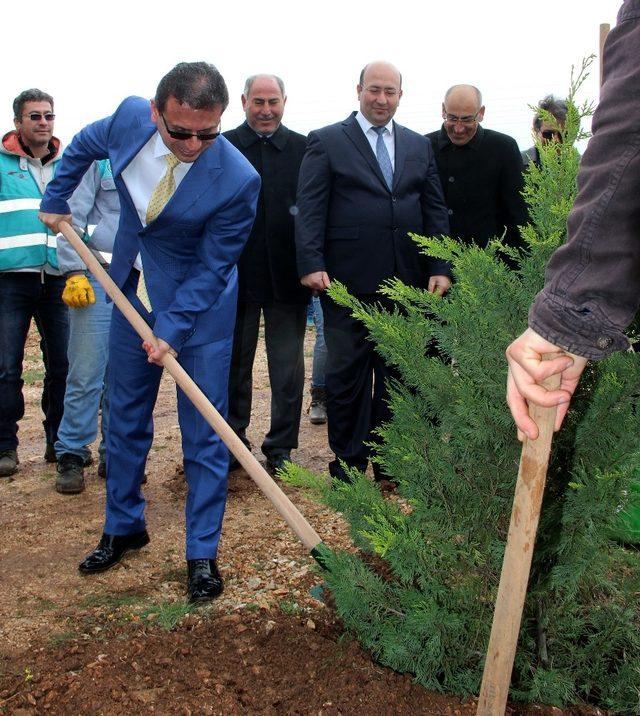 Şehit Savcı adına Muğla’da hatıra ormanı