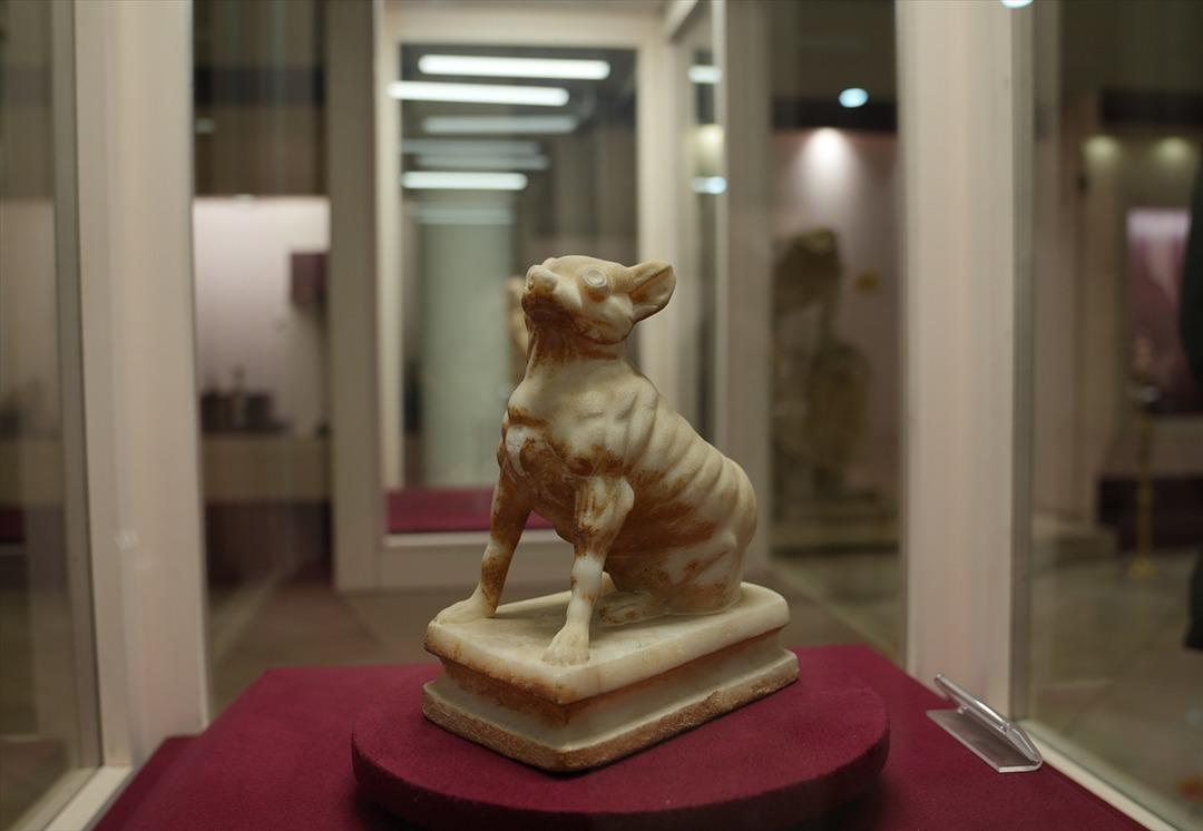 Roma dan Osmanlı ya uzanan &ldquo;G&uuml;ller Şehri&rdquo;nde ziyaret&ccedil;i akını! 3