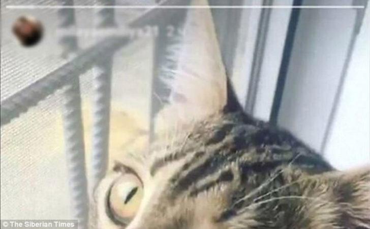 Kendi yatak odasındaki yarı çıplak kadını görünce... G5