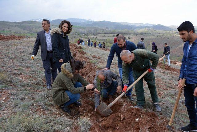 Yüksek Okulda  Fidan Dikimi