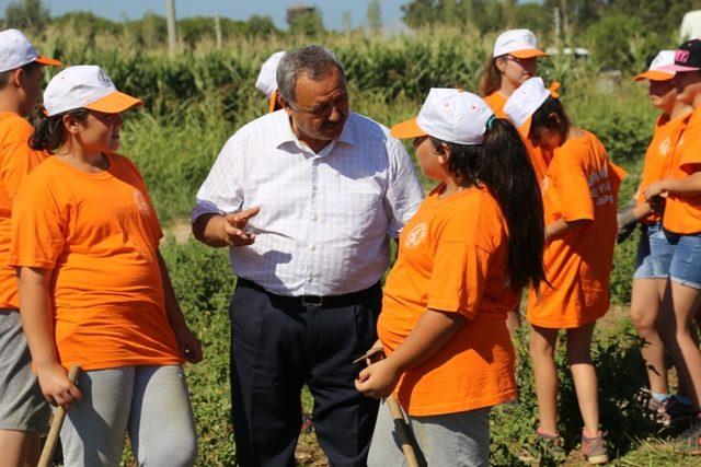 Çocuklar eğlenerek sebze ve meyve üretecek