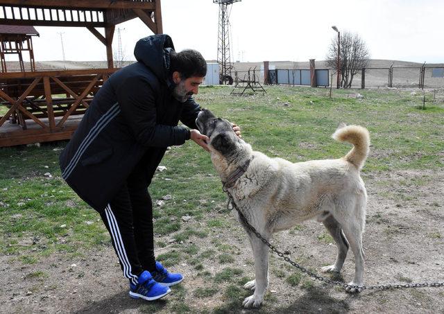 Ünal Karaman'ın 'Kangal köpeği' sevgisi