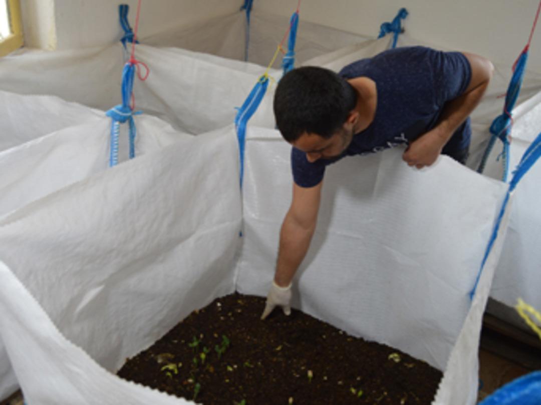 Emekli oldu, evinin odasında 'Kaliforniya solucanı' &uuml;retmeye başladı